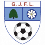 league logo